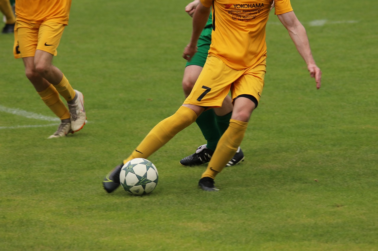 劝说便显得 劝说便显得